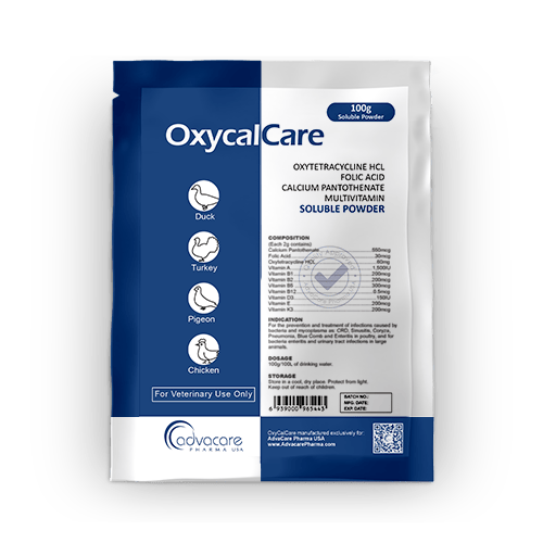 Oxytetracycline HCL + Folic Acid + Calcium Pantothenate + Multivitamin Soluble Powder (1 bag)