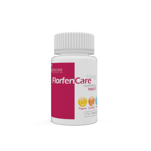 Comprimés de Florfénicol (bouteille de 100 comprimés)