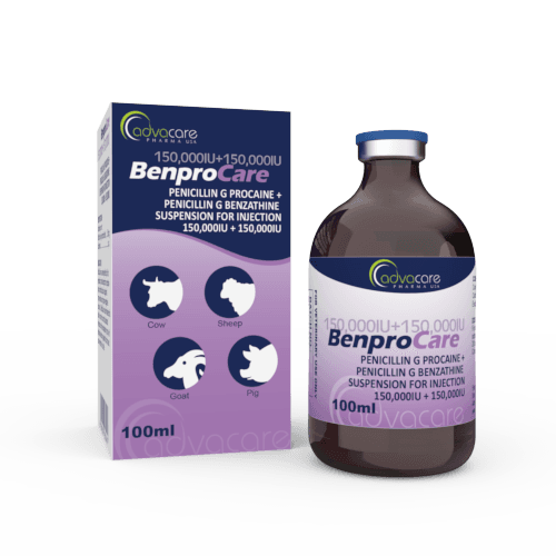 Penicillin G Procaine + Penicillin G Benzathine Suspension for Injection (1 box and 1 vial)