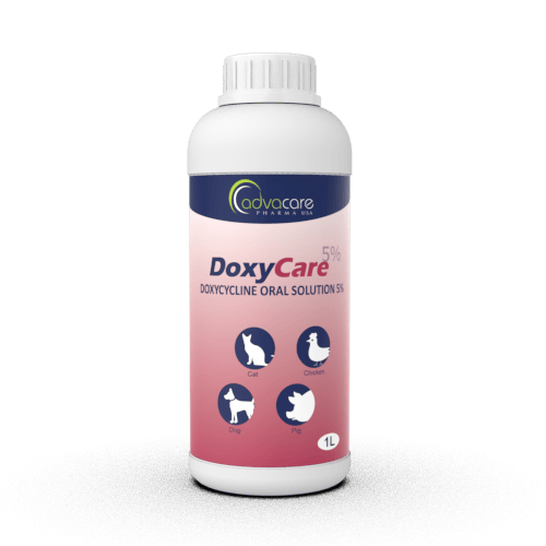 Doxycycline Oral Solution (1 bottle)