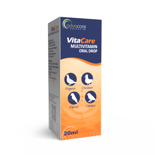 Multivitamin Oral Drops (box of 1 bottle)