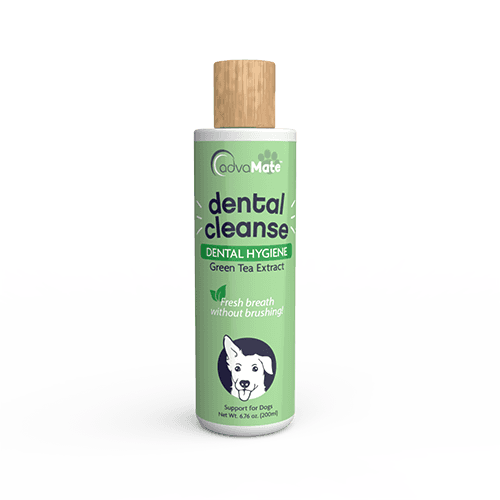 Dental Cleanse Solution (1 bottle)