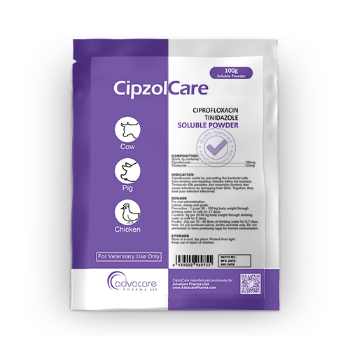 Ciprofloxacin + Tinidazole Soluble Powder (1 bag)