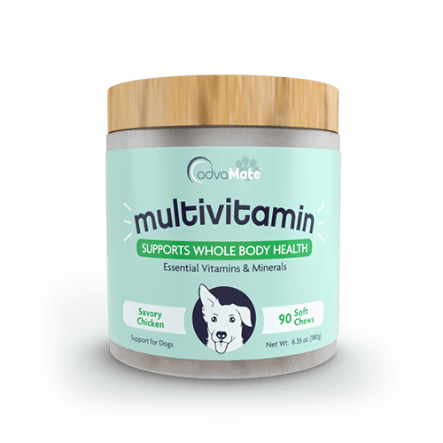 Multivitamin Soft Chews (1 bouteille)