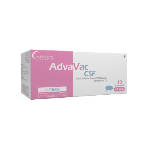 Peste porcine classique (LCR)