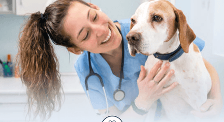 TickZero, el primer Fluralaner de AdvaCare que protege a los perros contra la infestación de pulgas y garrapatas