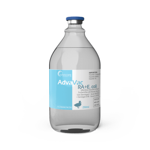 Infectious Serositis of Duck + Escherichia Coli Disease Vaccine (1 vial)