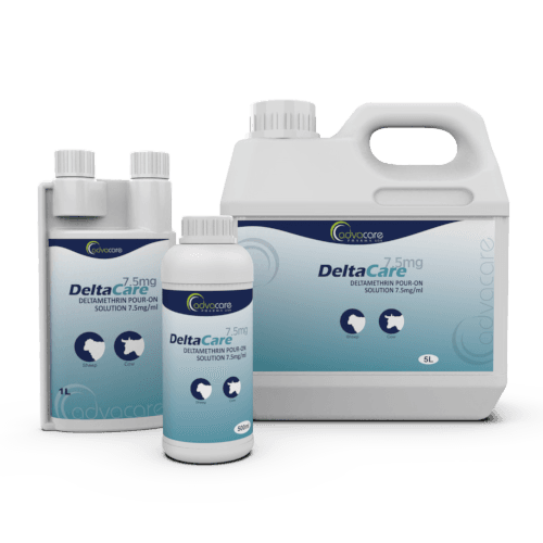 Solution Pour-On de Deltaméthrine (Bouteille de 500ml)
