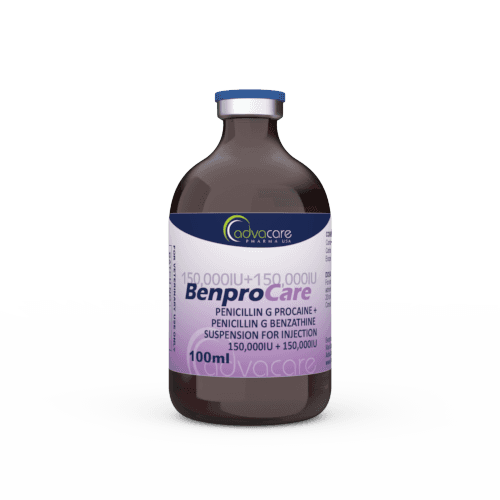 Penicillin G Procaine + Penicillin G Benzathine Suspension for Injection (1 vial)