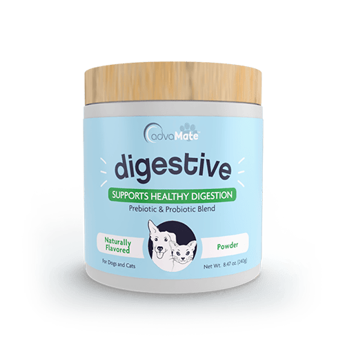 Digestive Support Powder (1 bottle)