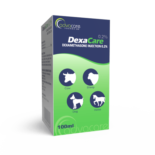 Dexamethasone Injection (box of 1 vial)