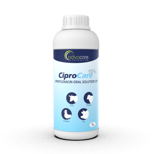 Ciprofloxacino Solución Oral (1 botella)