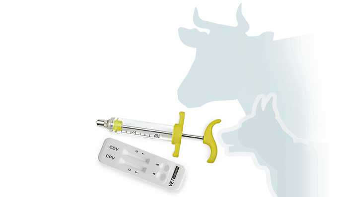 d'Instruments d'injection vétérinaires