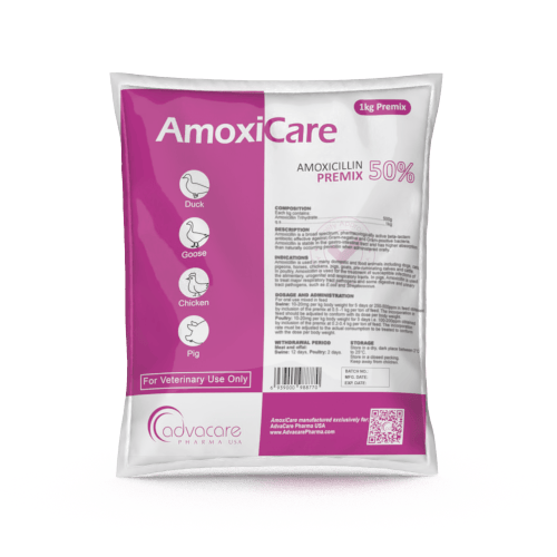 Amoxicilina Premezcla (1 bolsa)