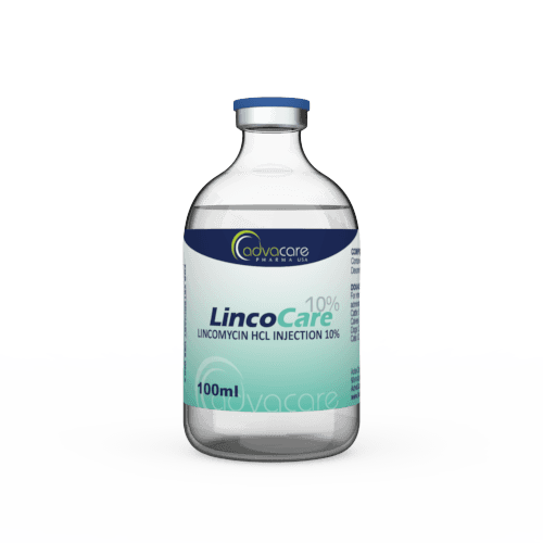 Inyección de Lincomicina HCl (1 frasco)