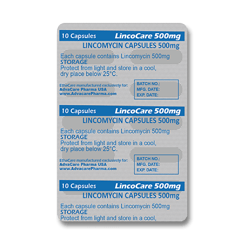 Capsules de Lincomycine (blister de 10 capsules)