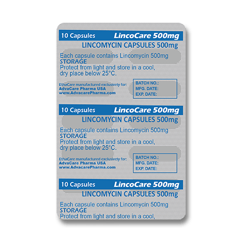 Lincomycine Capsules (blister de 10 capsules)