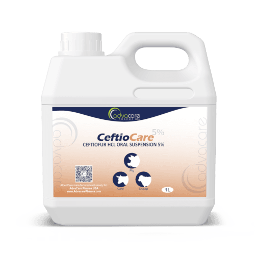 Ceftiofur HCl Oral Suspension (1 bottle)