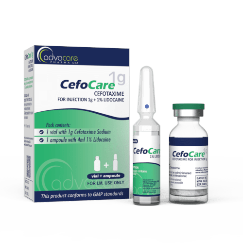 Cefotaxime Sodique pour Injection (1 boîte, 1 flacon et 1 ampoule de lidocaïne)