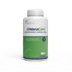 Capsules de Chloramphénicol (flacon de 1000 capsules)
