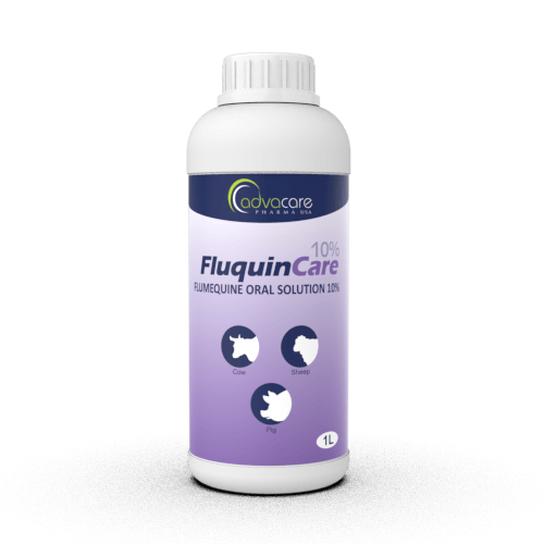 Flumequine Oral Solution (1 bottle)