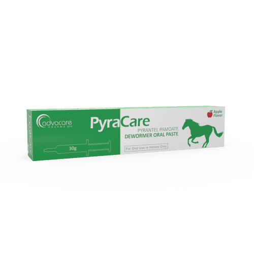 Pyrantel Pamoate Oral Paste (box of 1 syringe)