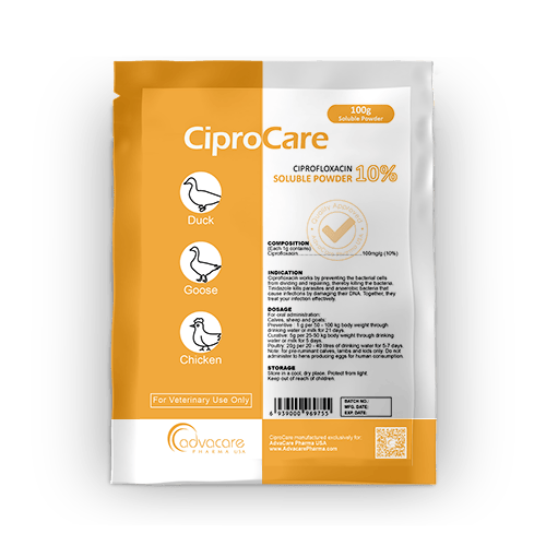 Ciprofloxacino Polvo Soluble (1 bolsa)