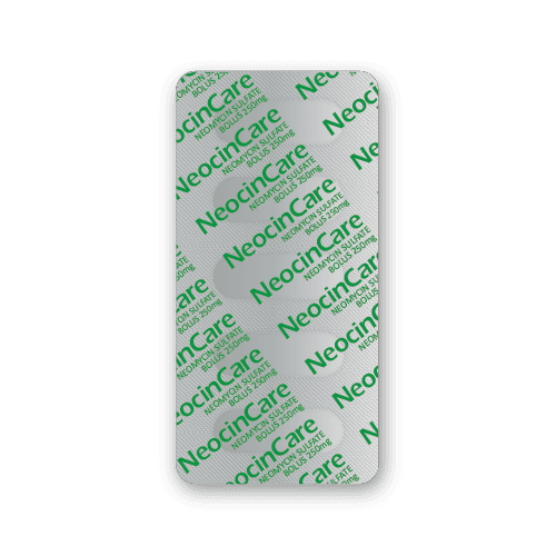 Bolos de Sulfato de Neomicina (ampolla de 5 bólidos)