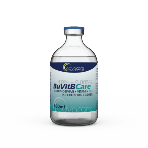 Injection de Butaphosphane + Vitamine B12 (1 flacon)