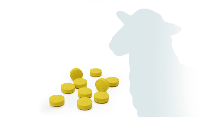 Comprimidos veterinarios