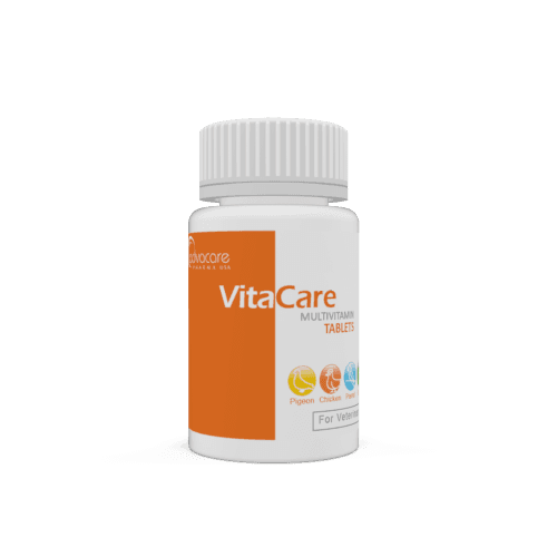 Comprimidos Multivitamínicos (botella de 100 comprimidos)