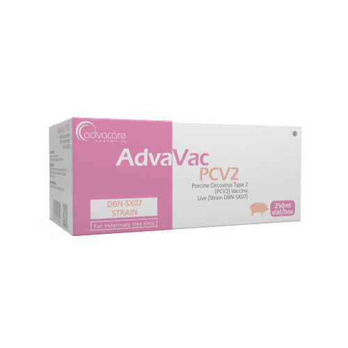 Circovirus Porcino Tipo 2 (PCV2)
