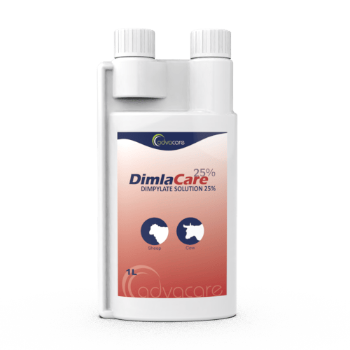 Dimpylate Solution (1 bouteille)