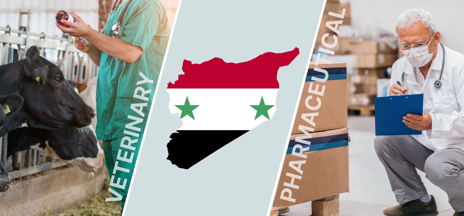 Strengthening Supply Chains for Veterinary and Pharmaceutical Products in Syria