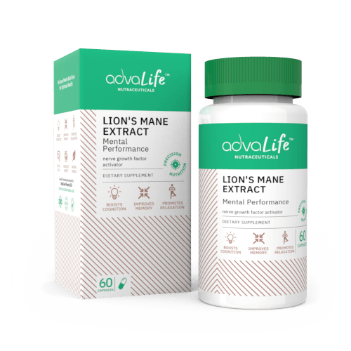 Capsules d'extrait de crinière de lion (1 boîte et 1 bouteille)