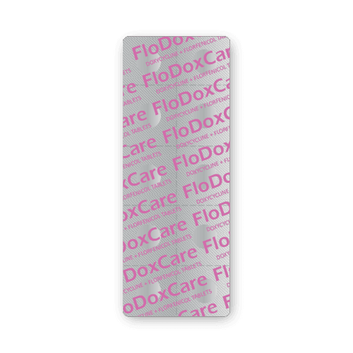 Comprimés de Doxycycline HCl + Florfenicol (plaquette de 10 comprimés)
