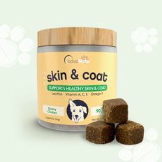 Bouchées tendres pour la santé de la peau et du pelage des chiens, riches en oméga pour réduire la perte de poils.