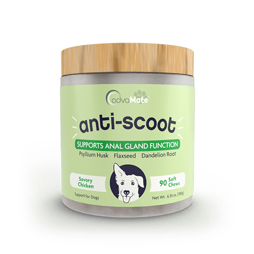Anti-Scoot Soft Chews (1 bouteille)