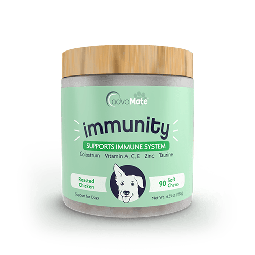 Immunity Soft Chews (1 bouteille)