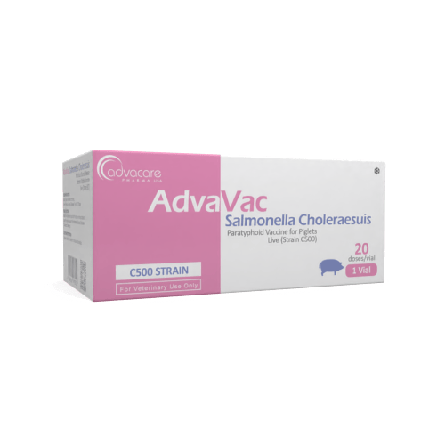 Paratyphoid Vaccine for Piglets (box of 1 vial)