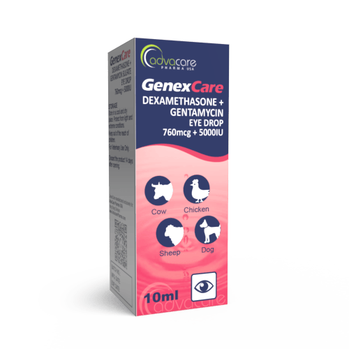 Dexamethasone + Gentamicin Sulfate Eye Drops (box of 1 bottle)