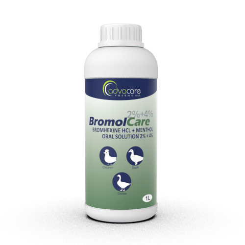 Bromhexine HCL + Menthol Solution Orale (1 bouteille)
