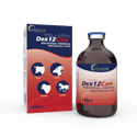 Iron Dextran + Vitamin B12 Injection (1 box and 1 vial)