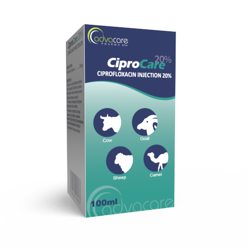 Ciprofloxacin Cheap