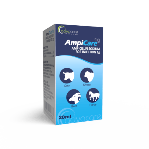 Ampicillin Sodium Powder for Injection Manufacturer 1