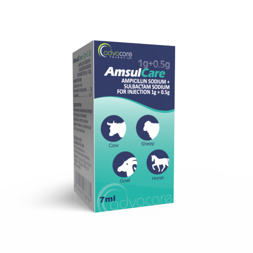 Ampicillin Sodium + Sulbactam Sodium Powder for Injection