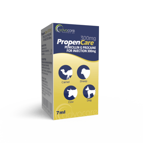 Procaine Penicillin Powder for Injection