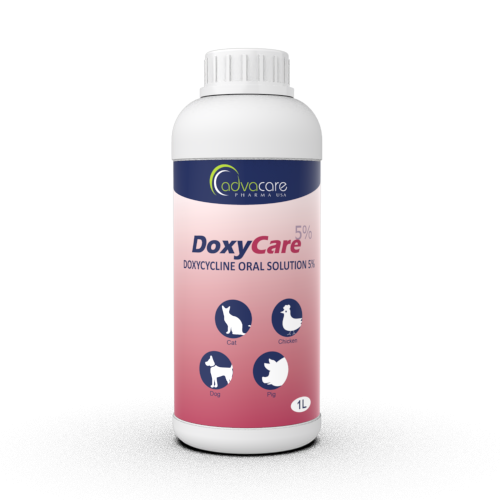 Cost of doxycycline suspension